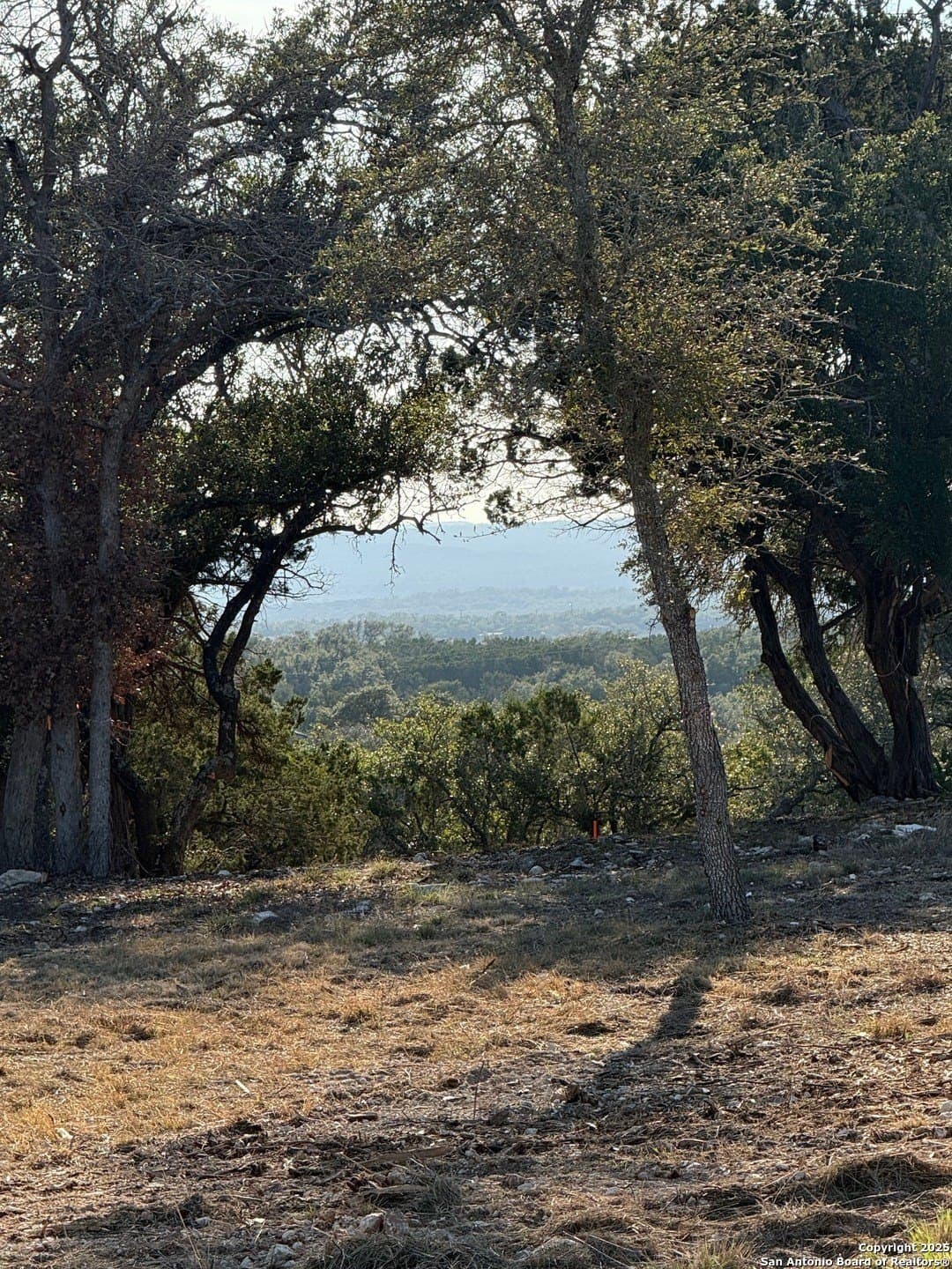 1.13 acres in Comal County gallery image 2