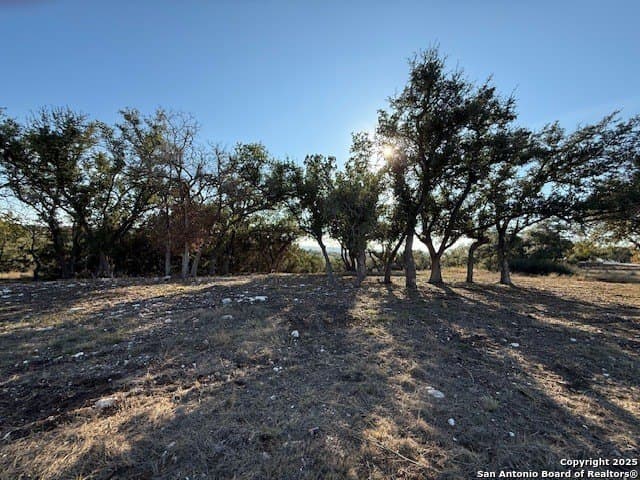 1.13 acres in Comal County - photo 25