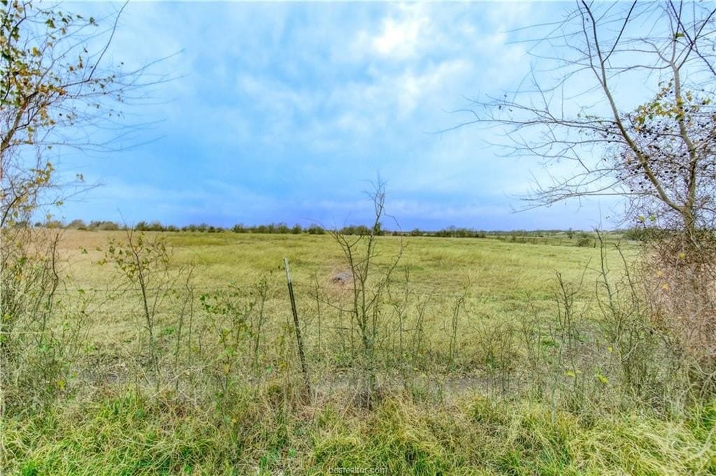 61.24 acres in Grimes County - photo 16