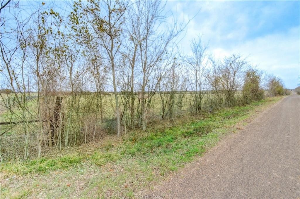 61.24 acres in Grimes County - photo 17