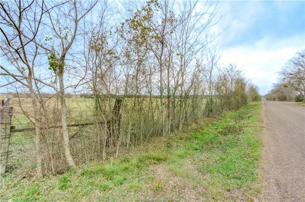 61.24 acres in Grimes County - photo 15