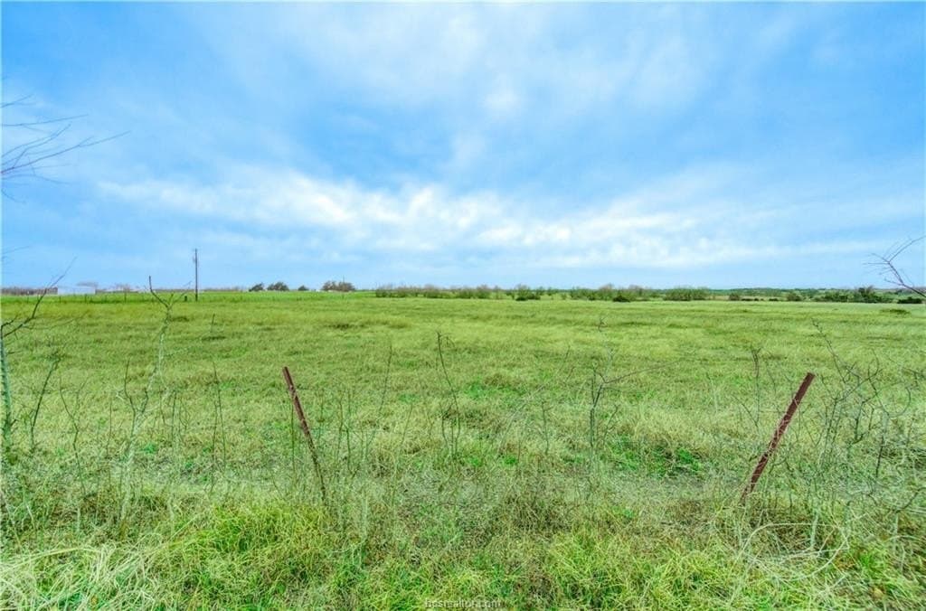 61.24 acres in Grimes County - photo 6