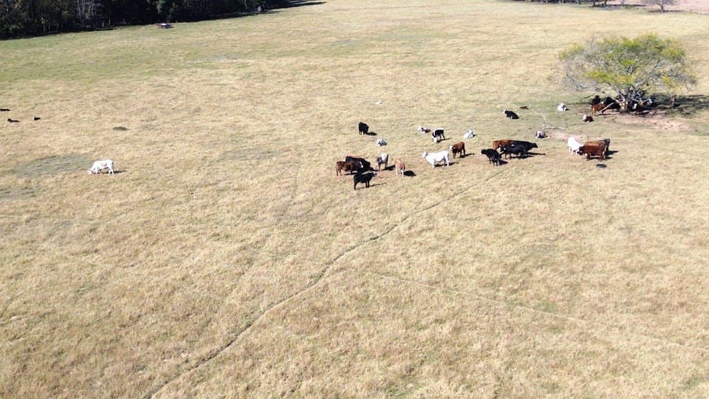 153.75 acres in Texas County gallery image 4