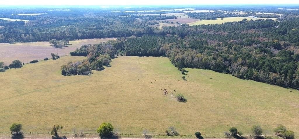 153.75 acres in Texas County