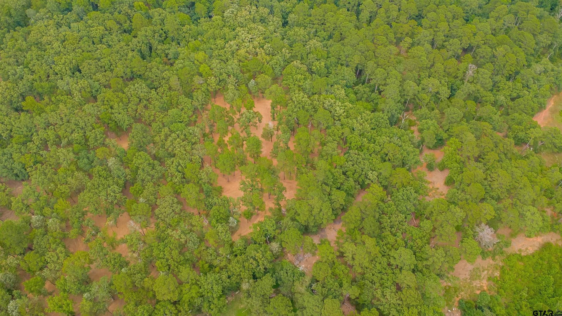 5.02 acres in Smith County gallery image 3