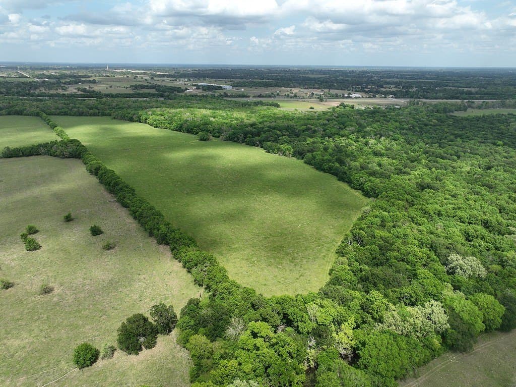 177.84 acres in Austin County gallery image 2