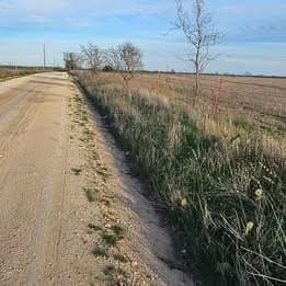 12 acres in Hamilton County gallery image 2