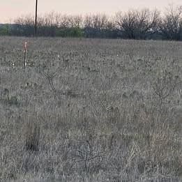 12 acres in Hamilton County gallery image 4