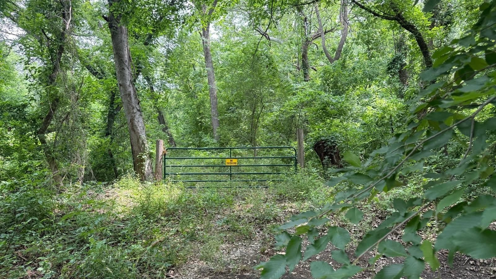 2 acres in Collin County - photo 3