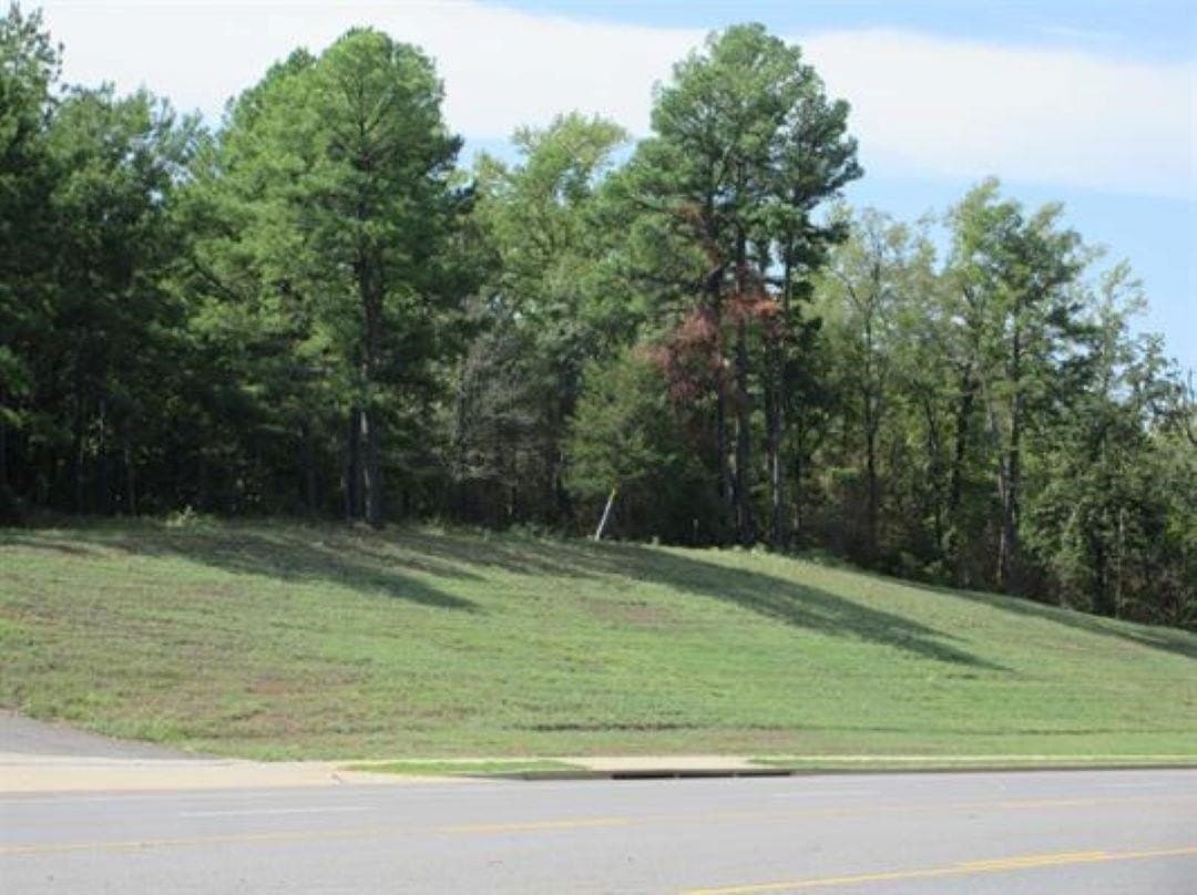 21.1 acres in Gregg County - photo 5