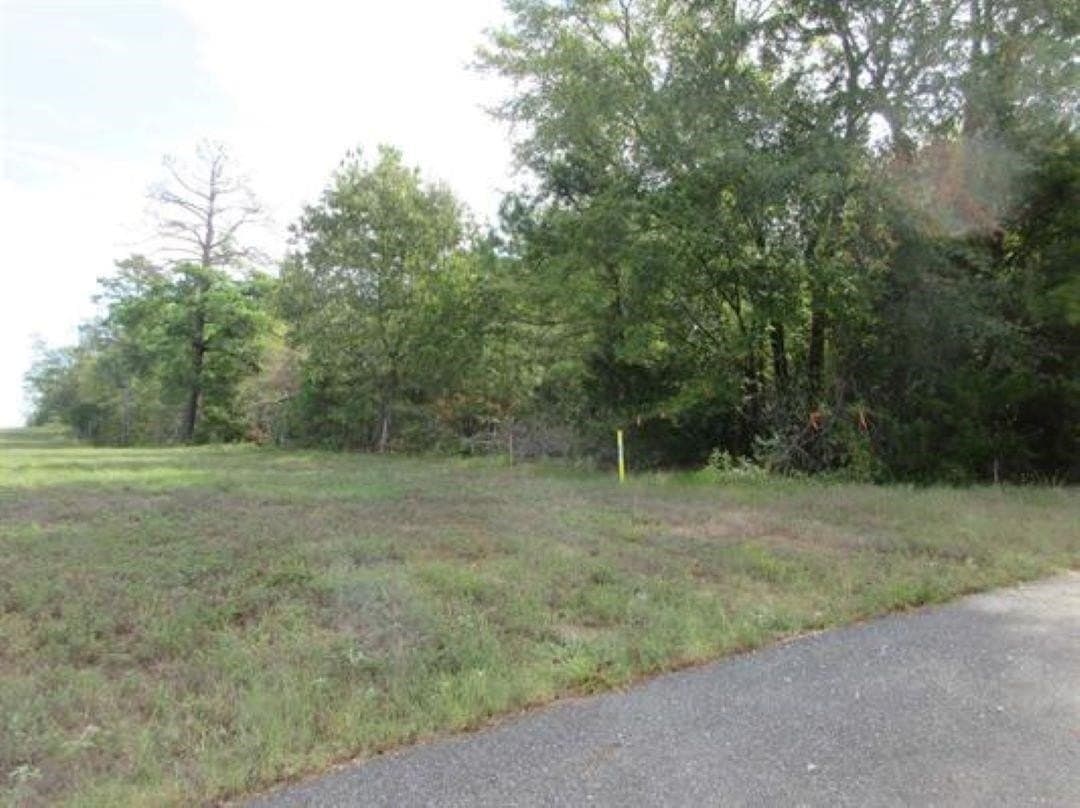 21.1 acres in Gregg County - photo 9