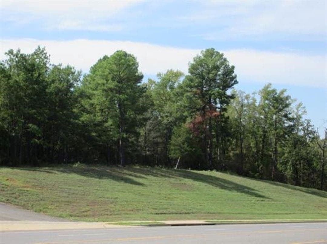 21.1 acres in Gregg County - photo 6