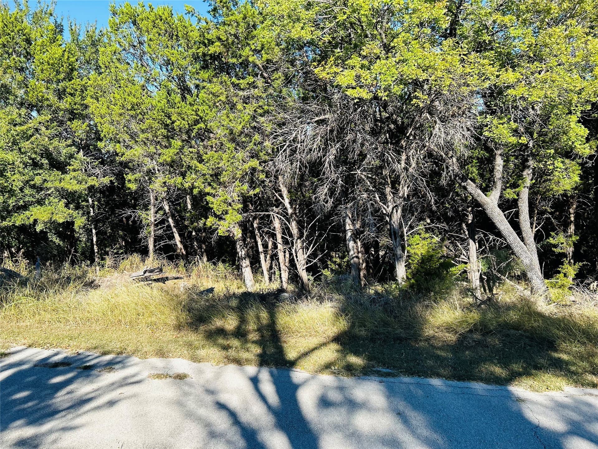 0.46 acres in Palo Pinto County featured view