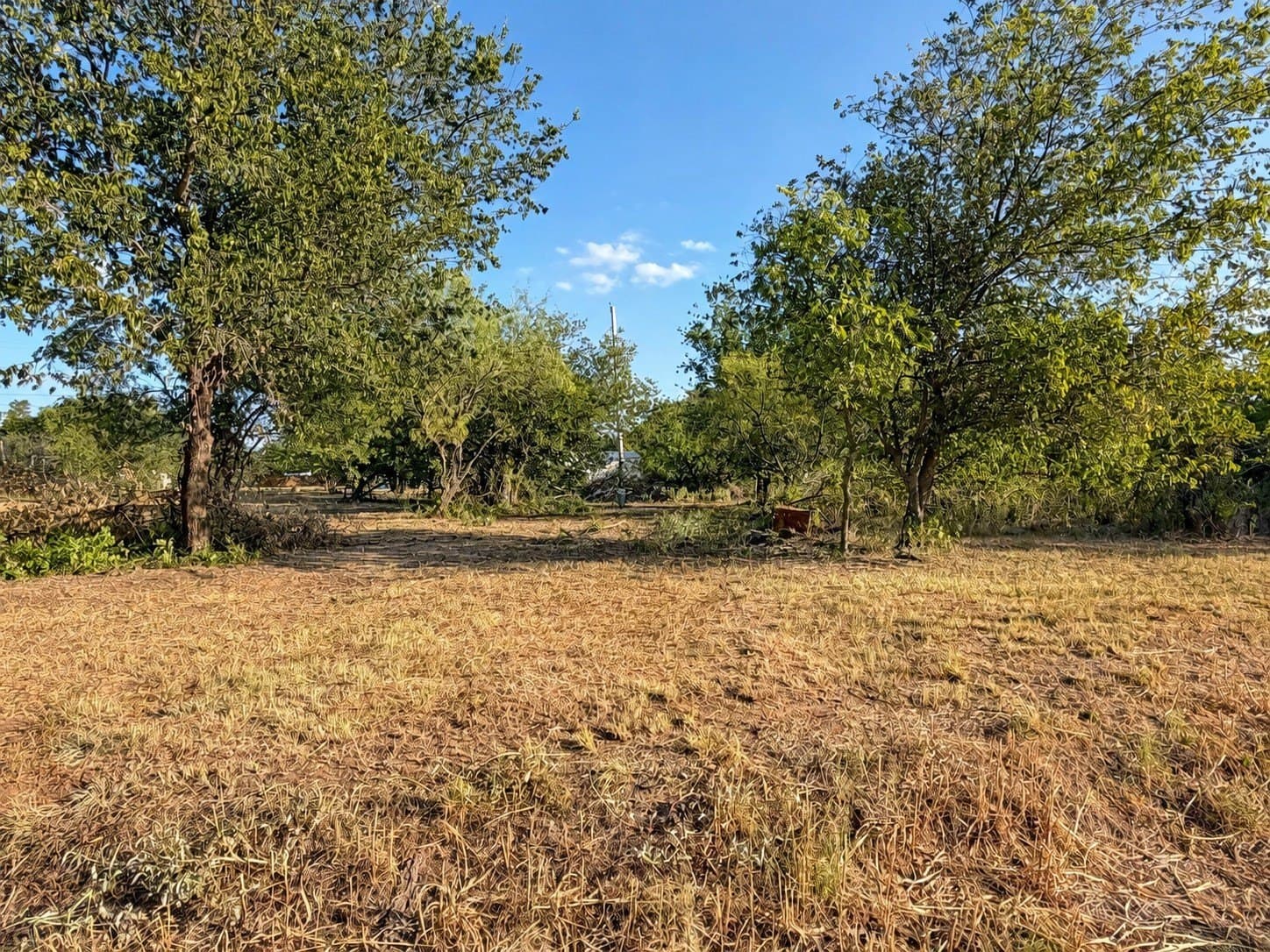 1.08 acres in Eastland County - photo 4
