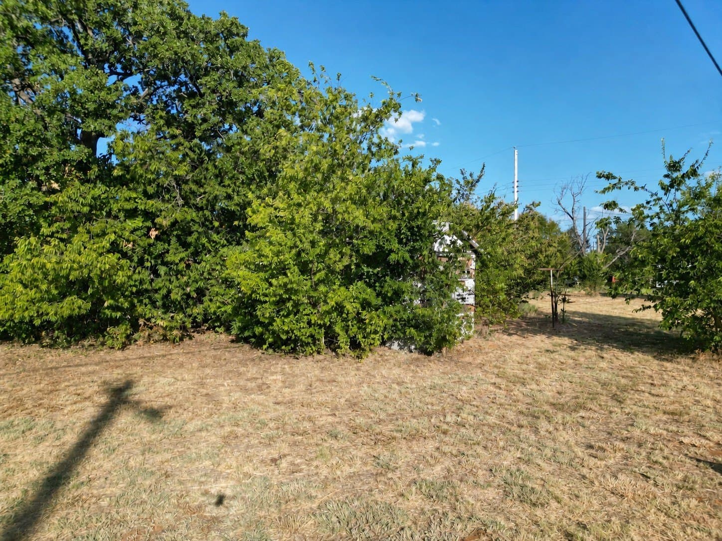 1.08 acres in Eastland County - photo 25