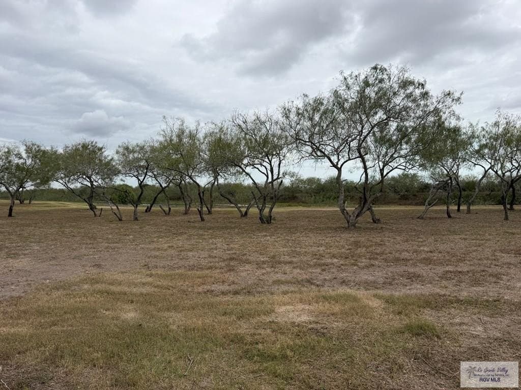 0.24 acres in CAMERON County gallery image 3