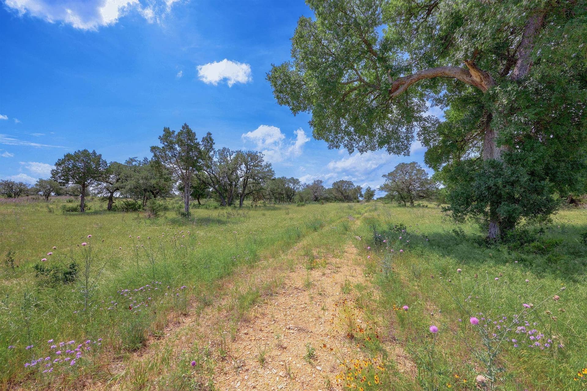 273.72 acres in Bell County - photo 2