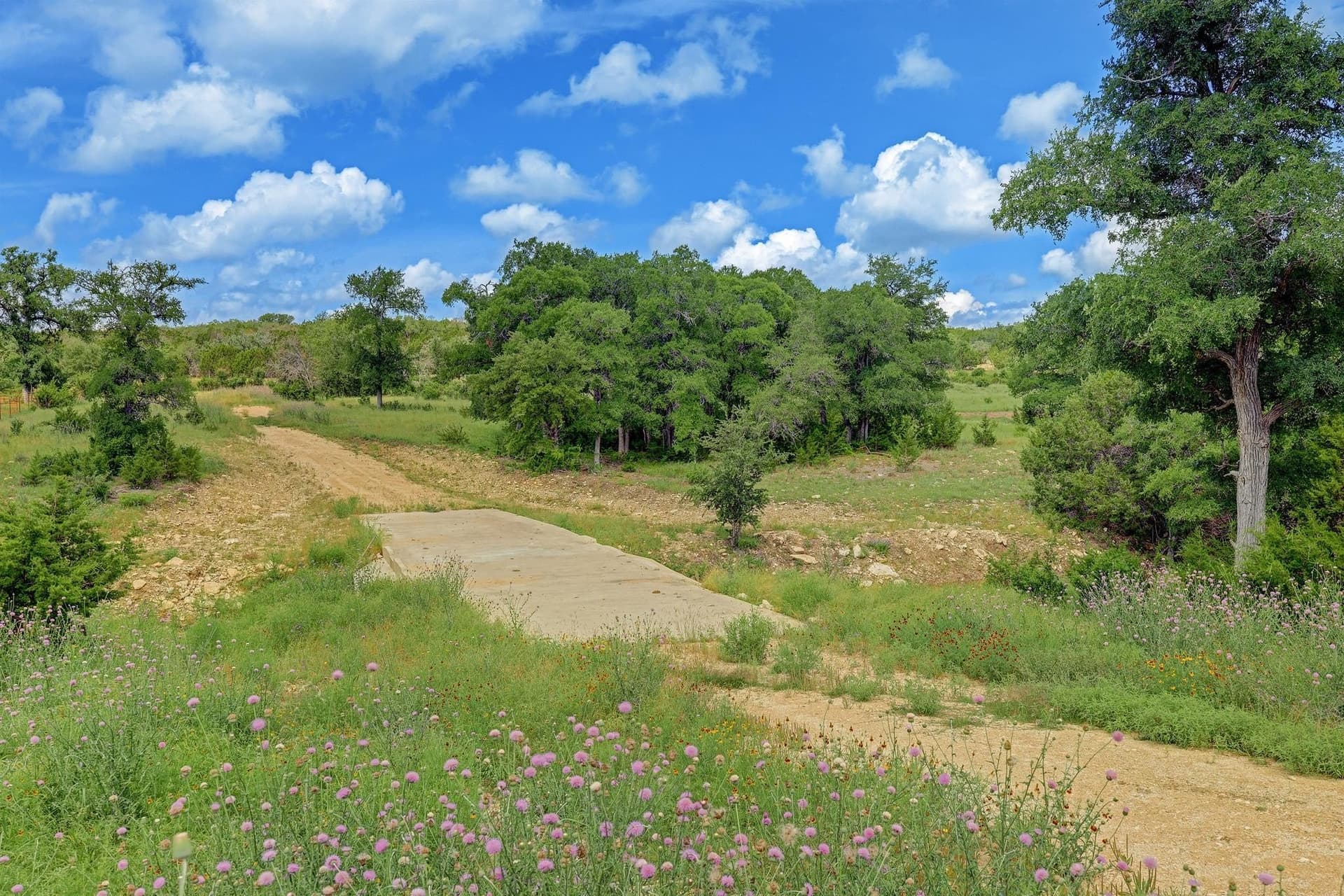 273.72 acres in Bell County - photo 8