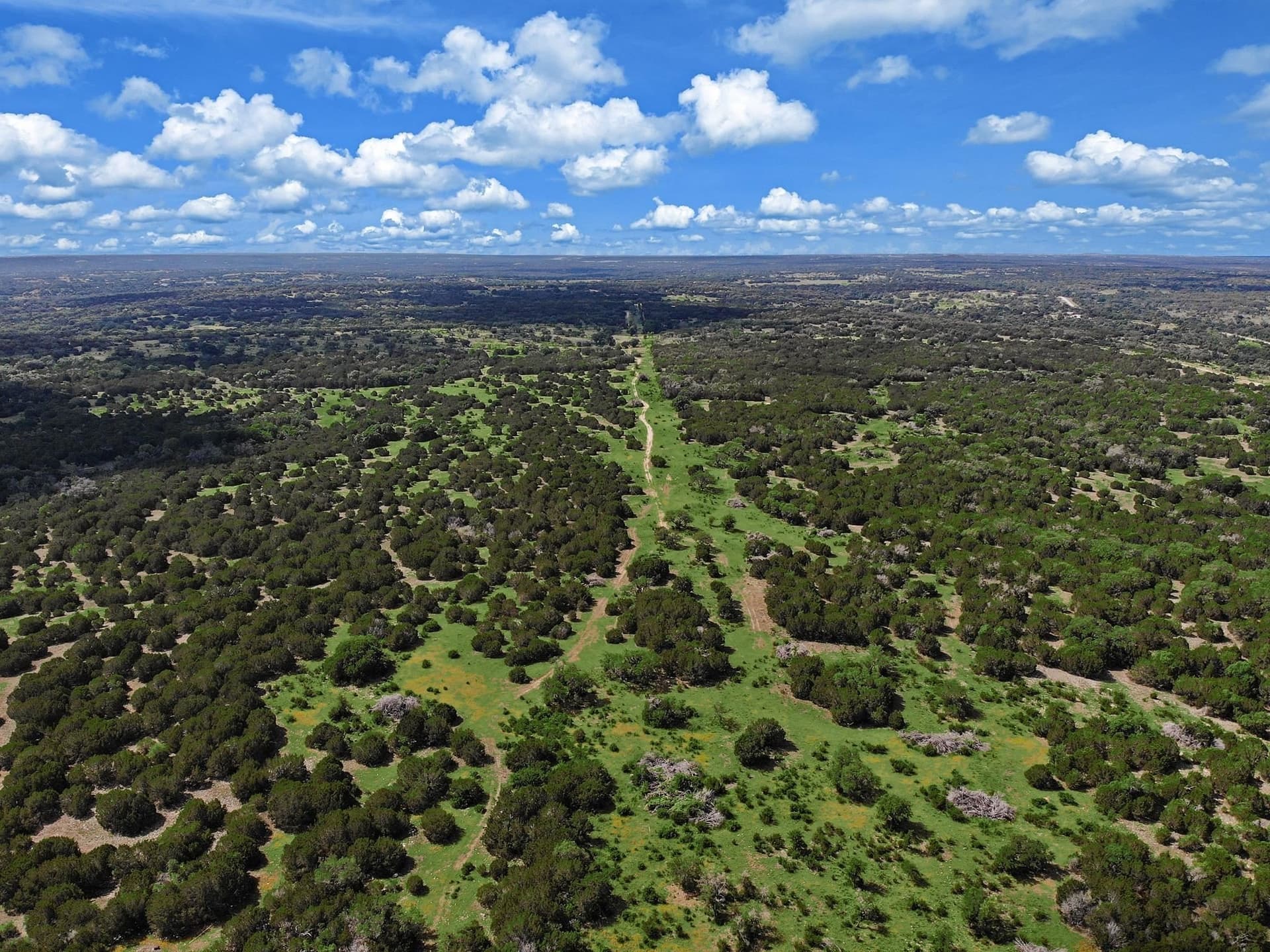 273.72 acres in Bell County - photo 14