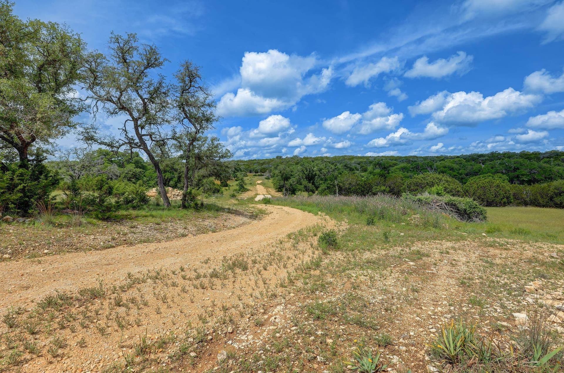 273.72 acres in Bell County - photo 7