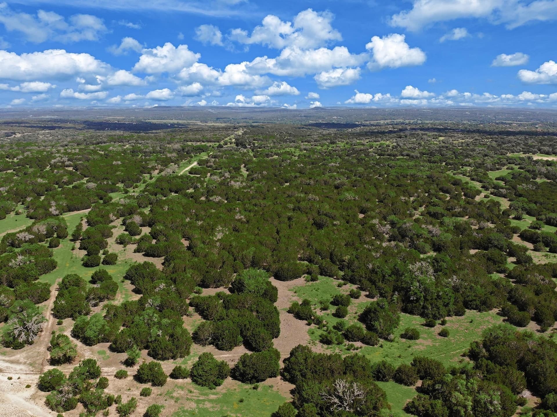 273.72 acres in Bell County - photo 17