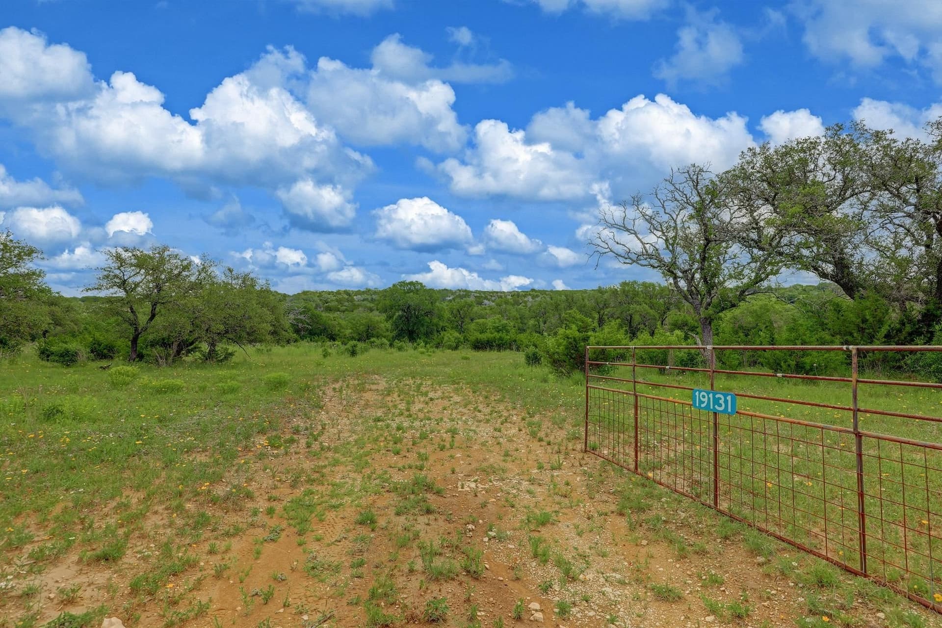 273.72 acres in Bell County - photo 11