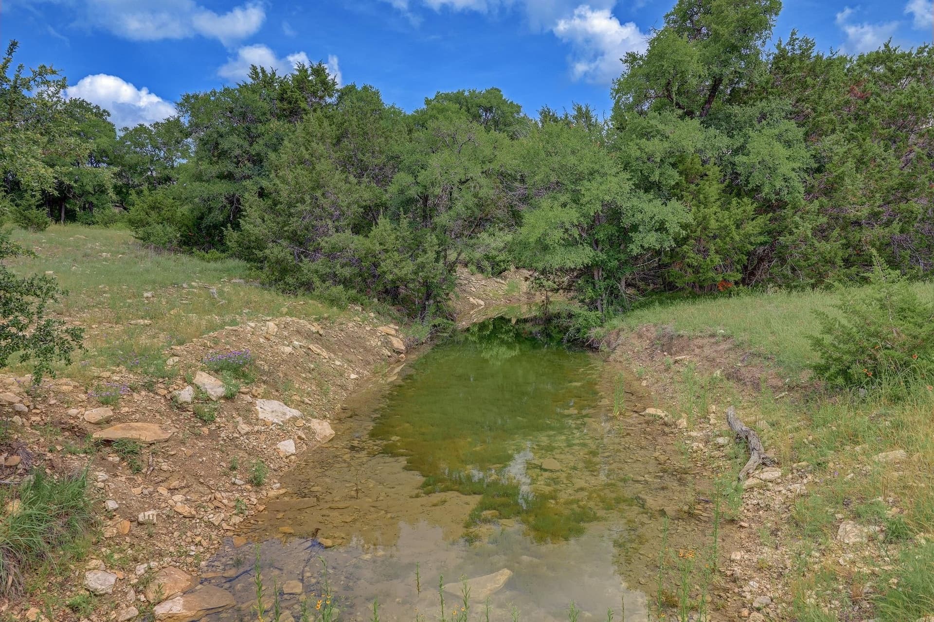 273.72 acres in Bell County - photo 9