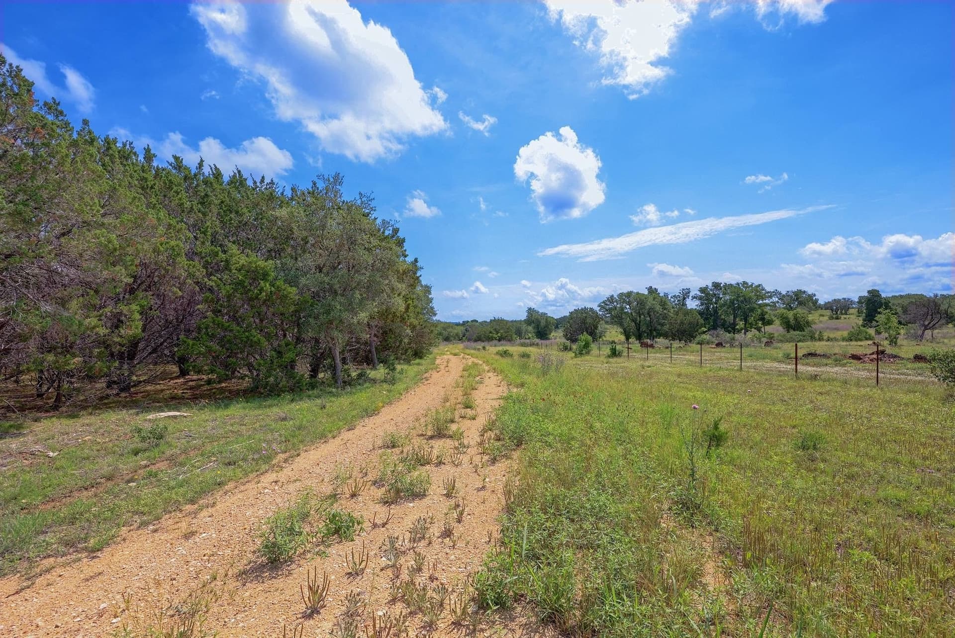 273.72 acres in Bell County - photo 3
