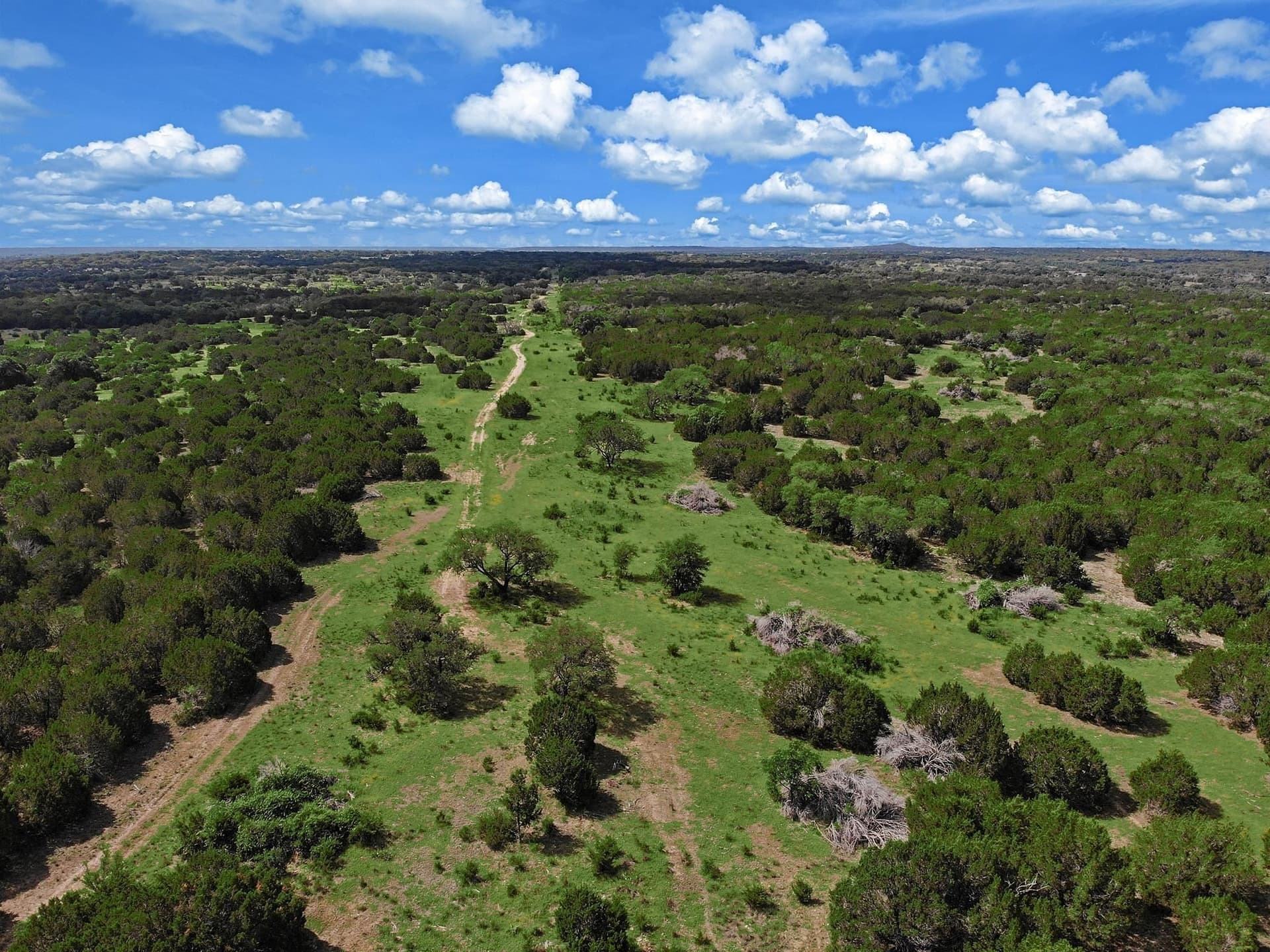 273.72 acres in Bell County - photo 16