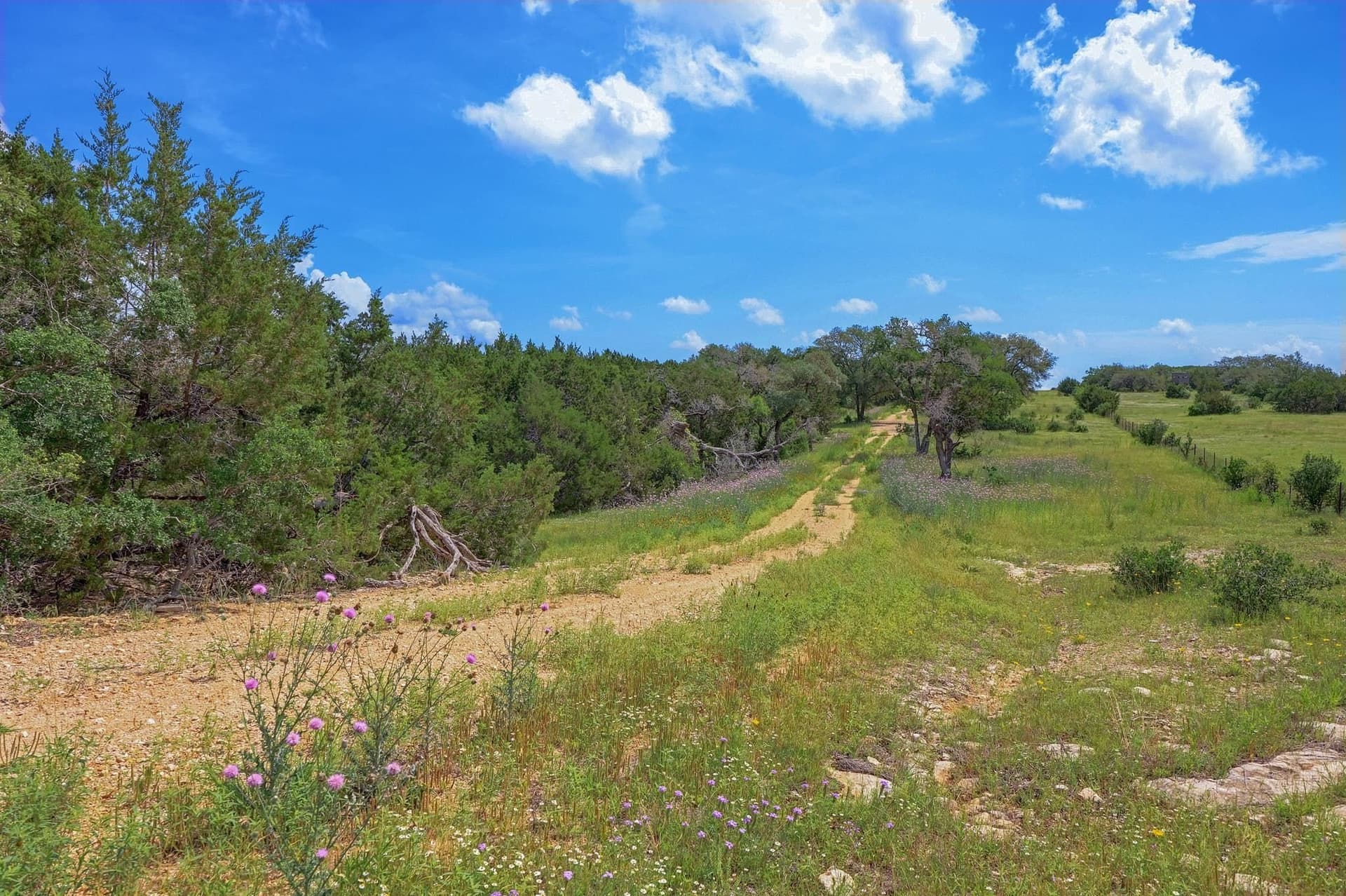 273.72 acres in Bell County - photo 4