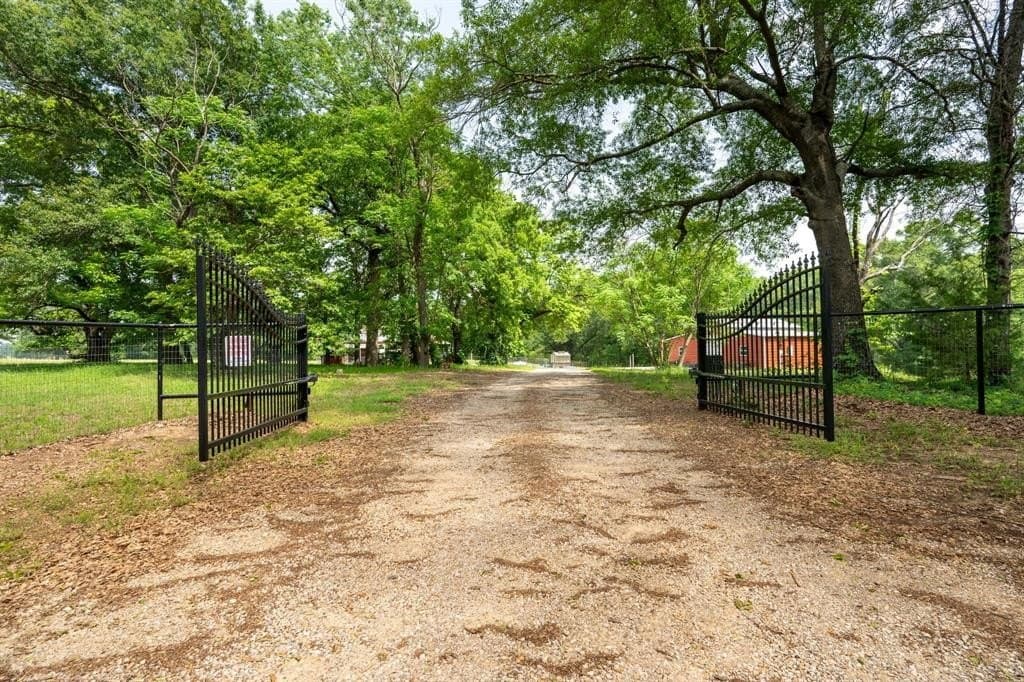 11.9 acres in Rains County gallery image 4