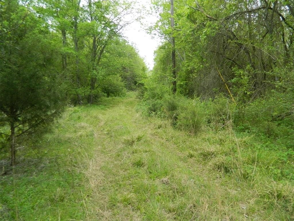 30 acres in Navarro County gallery image 3