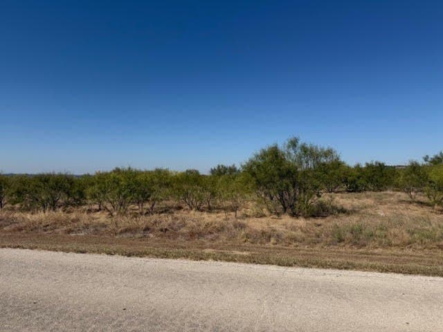 5.03 acres in Palo Pinto County - photo 2