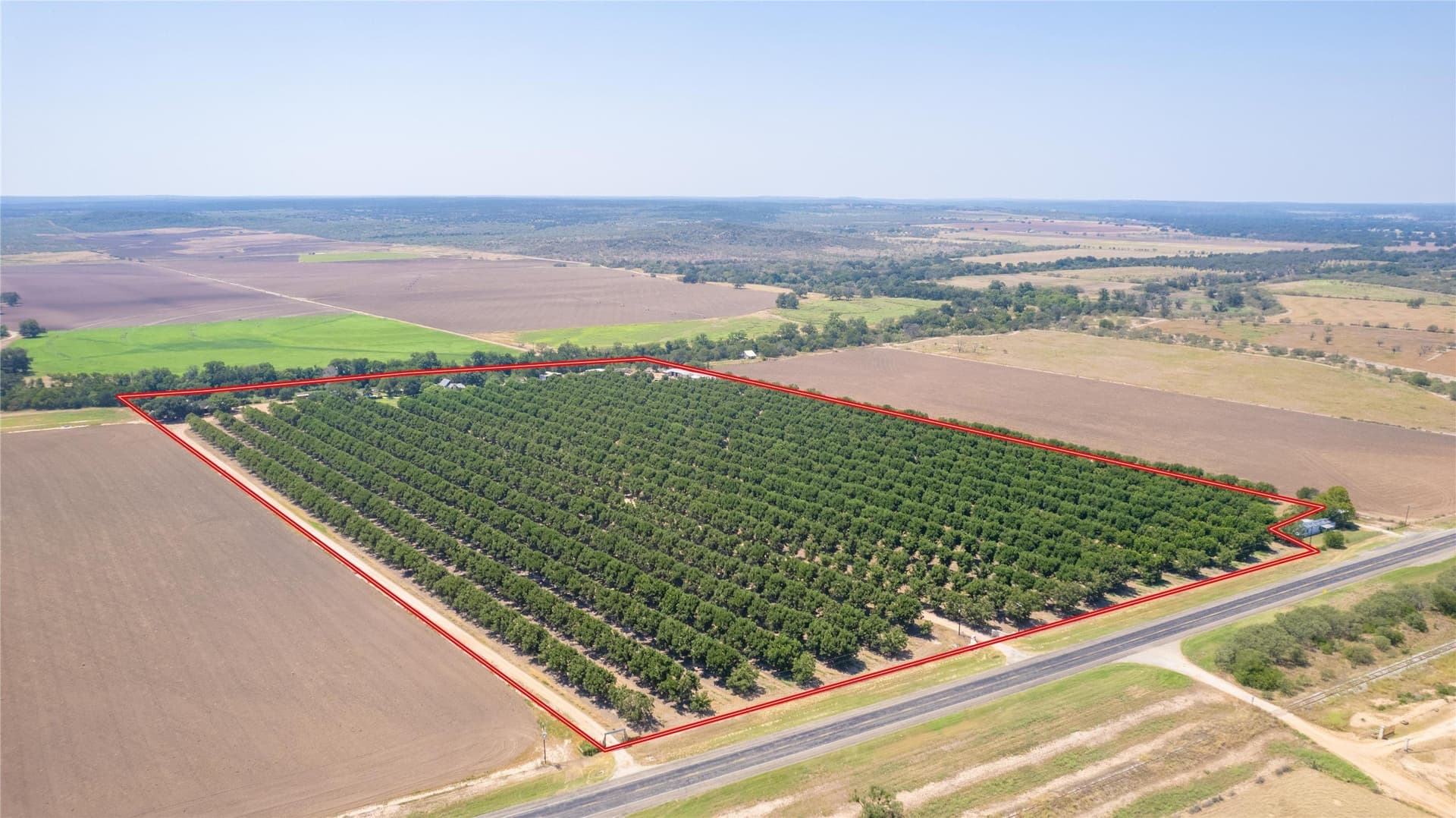 42 acres in San Saba County gallery image 2