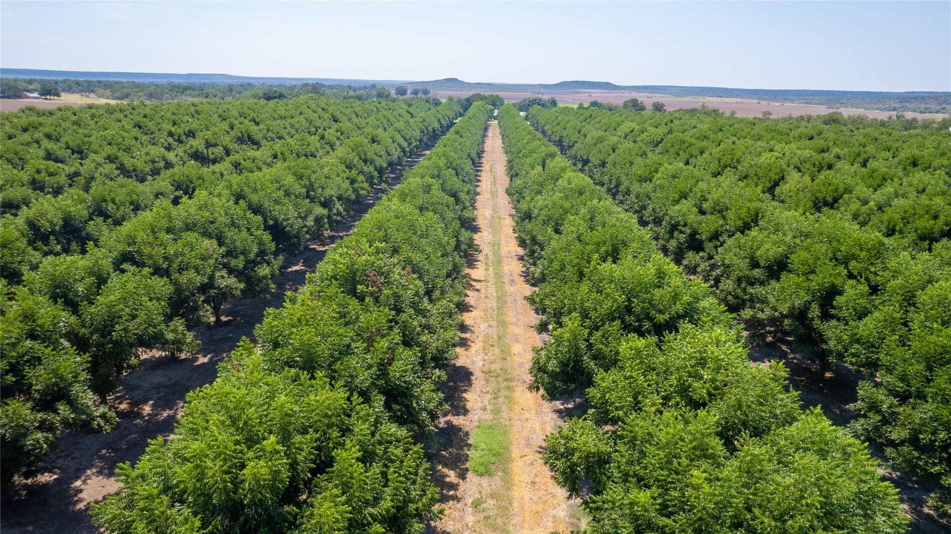 42 acres in San Saba County featured view