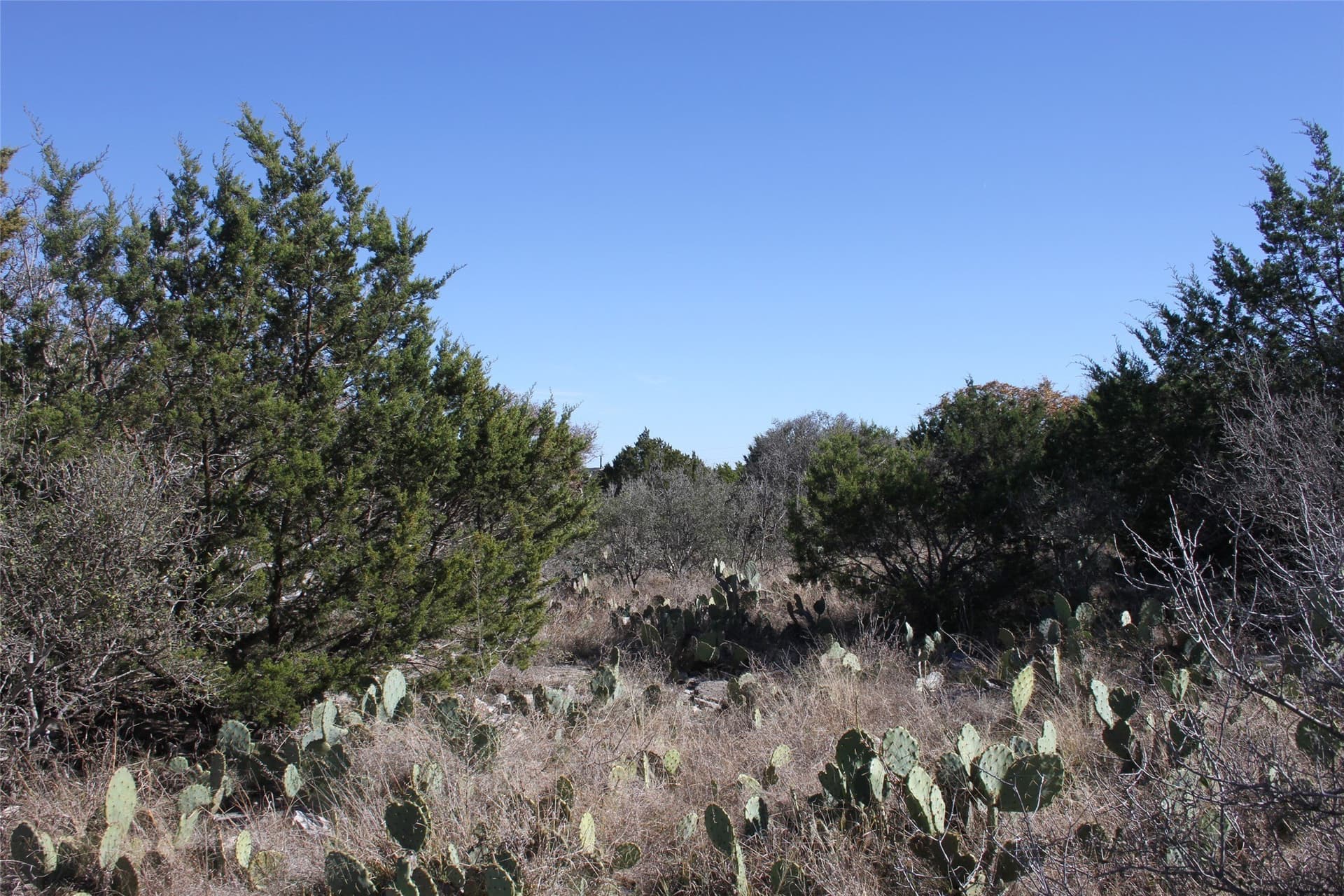 5 acres in San Saba County - photo 6