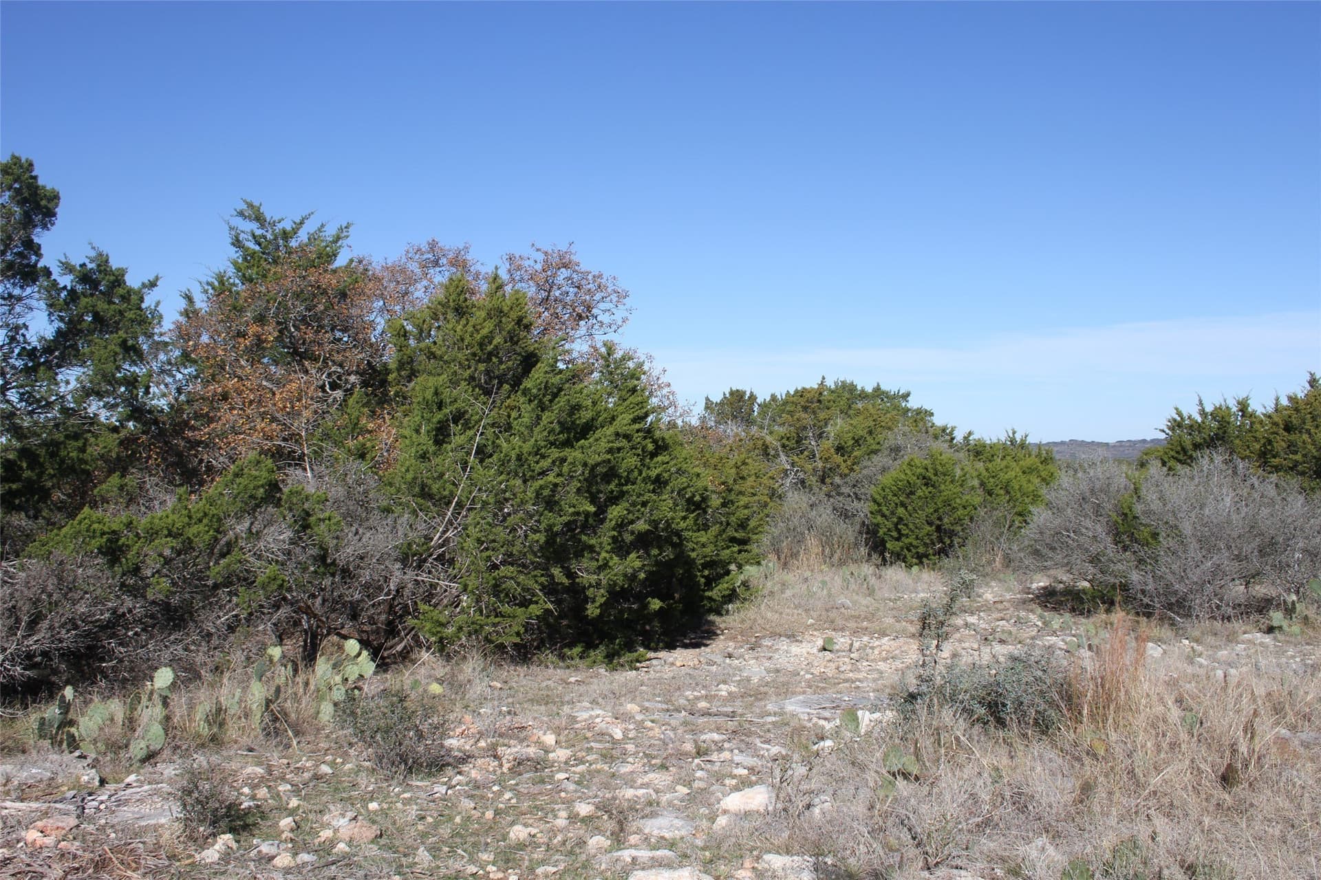5 acres in San Saba County - photo 5