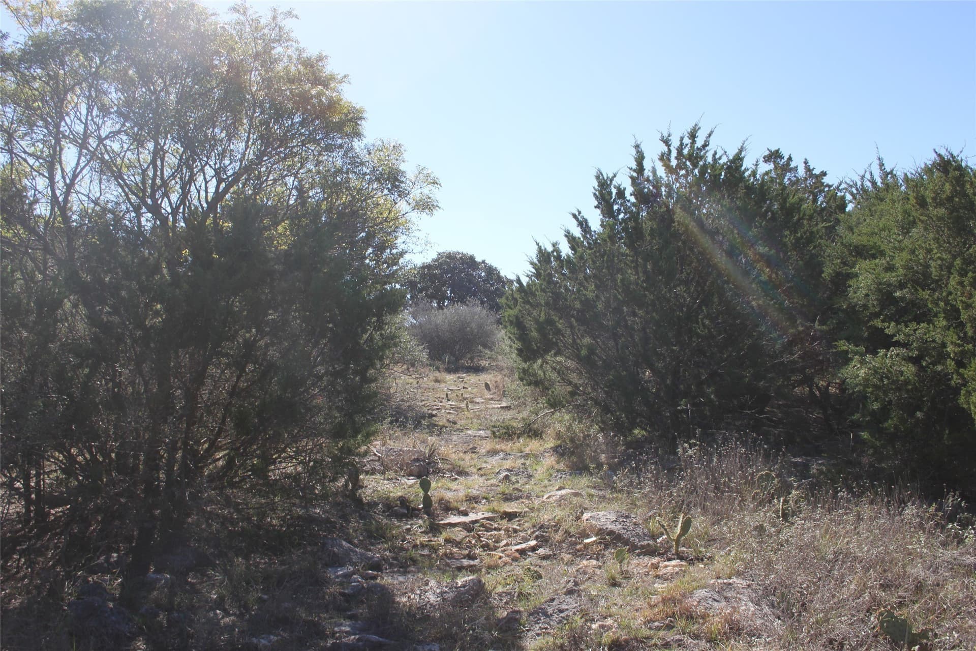 5 acres in San Saba County - photo 8