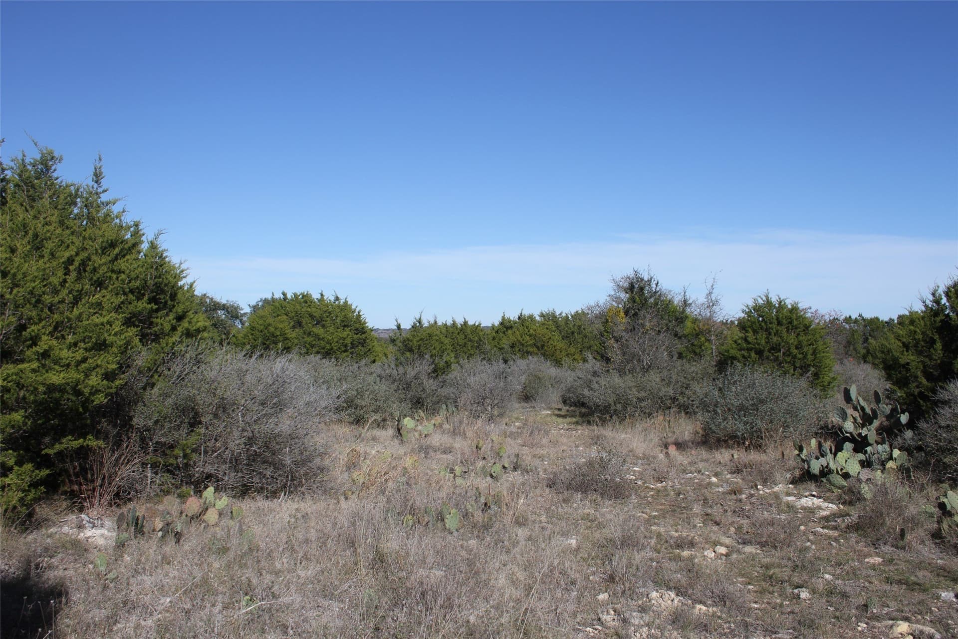 5 acres in San Saba County - photo 7