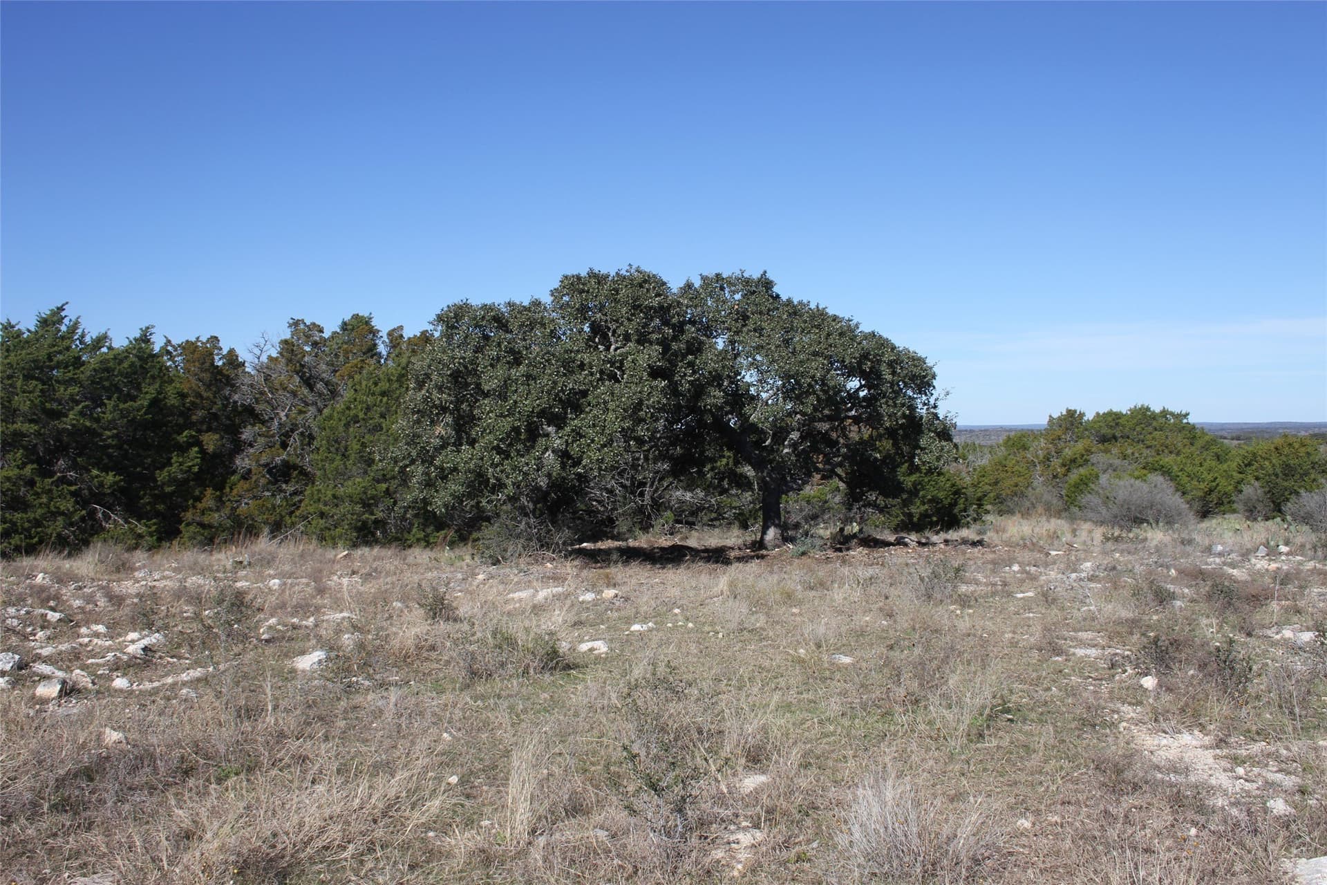 5 acres in San Saba County - photo 3