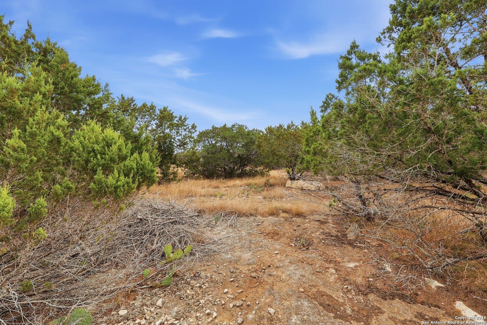 3.16 acres in Bandera County - photo 8
