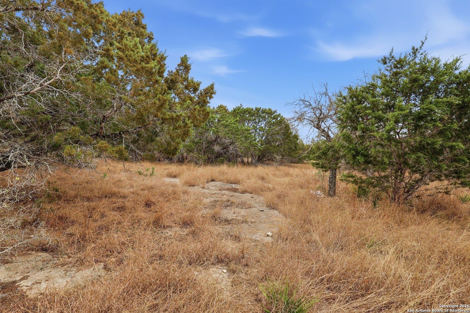 3.16 acres in Bandera County - photo 9