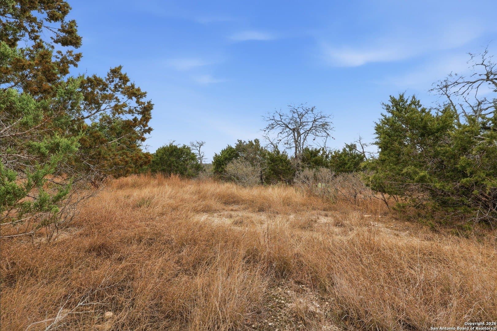 3.16 acres in Bandera County - photo 14