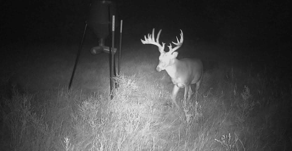 53.98 acres in Grayson County - photo 13