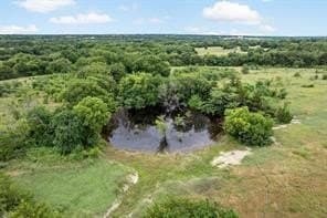 53.98 acres in Grayson County - photo 18