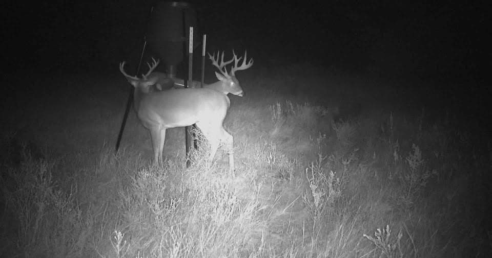 53.98 acres in Grayson County - photo 12