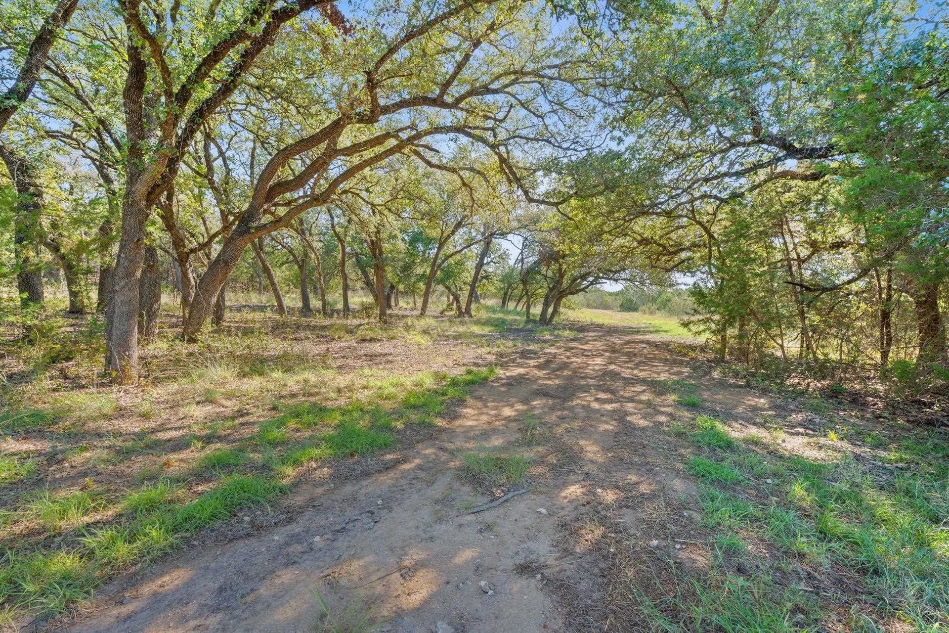 130.44 acres in Lampasas County - photo 42