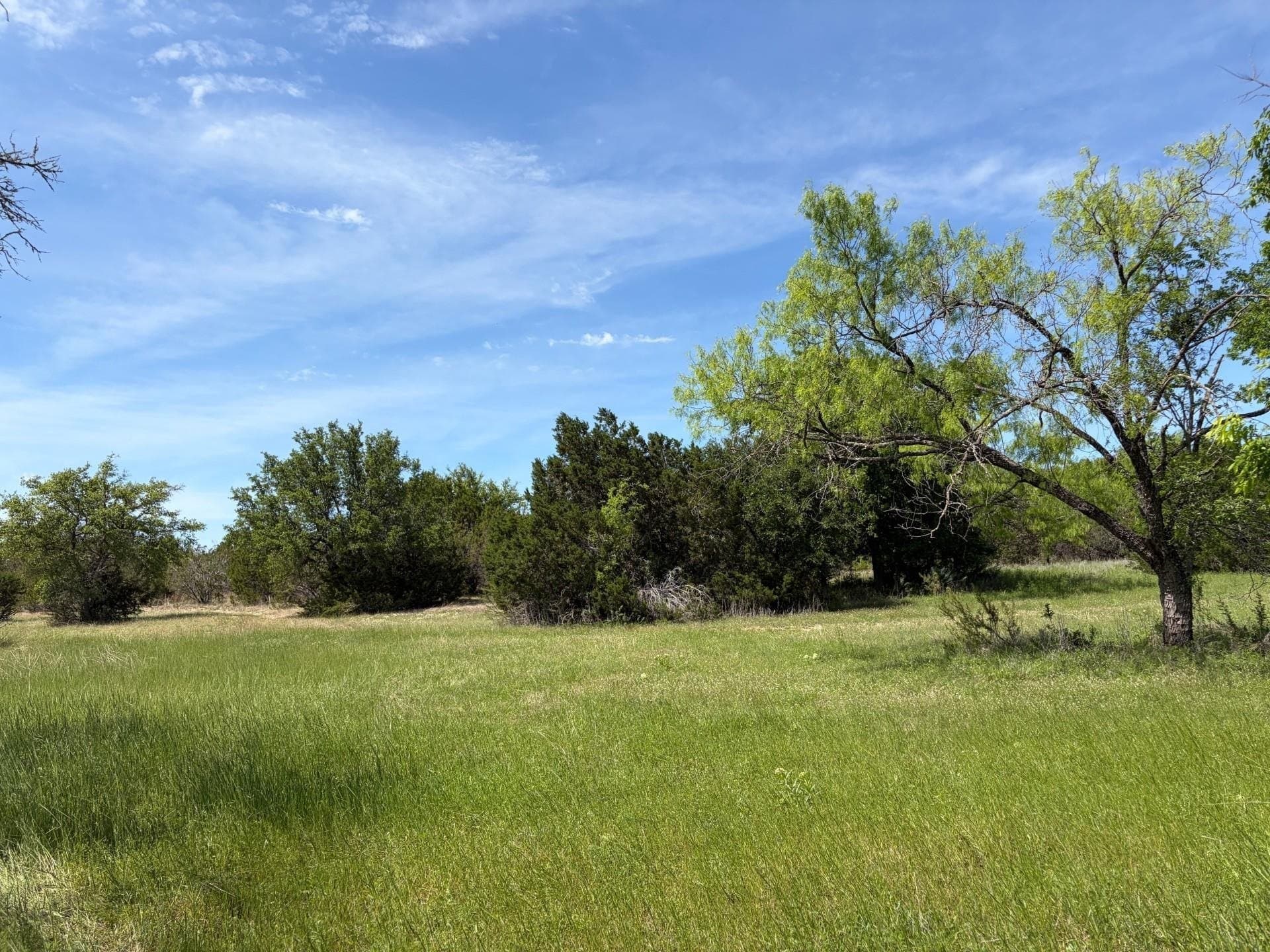 130.44 acres in Lampasas County - photo 29