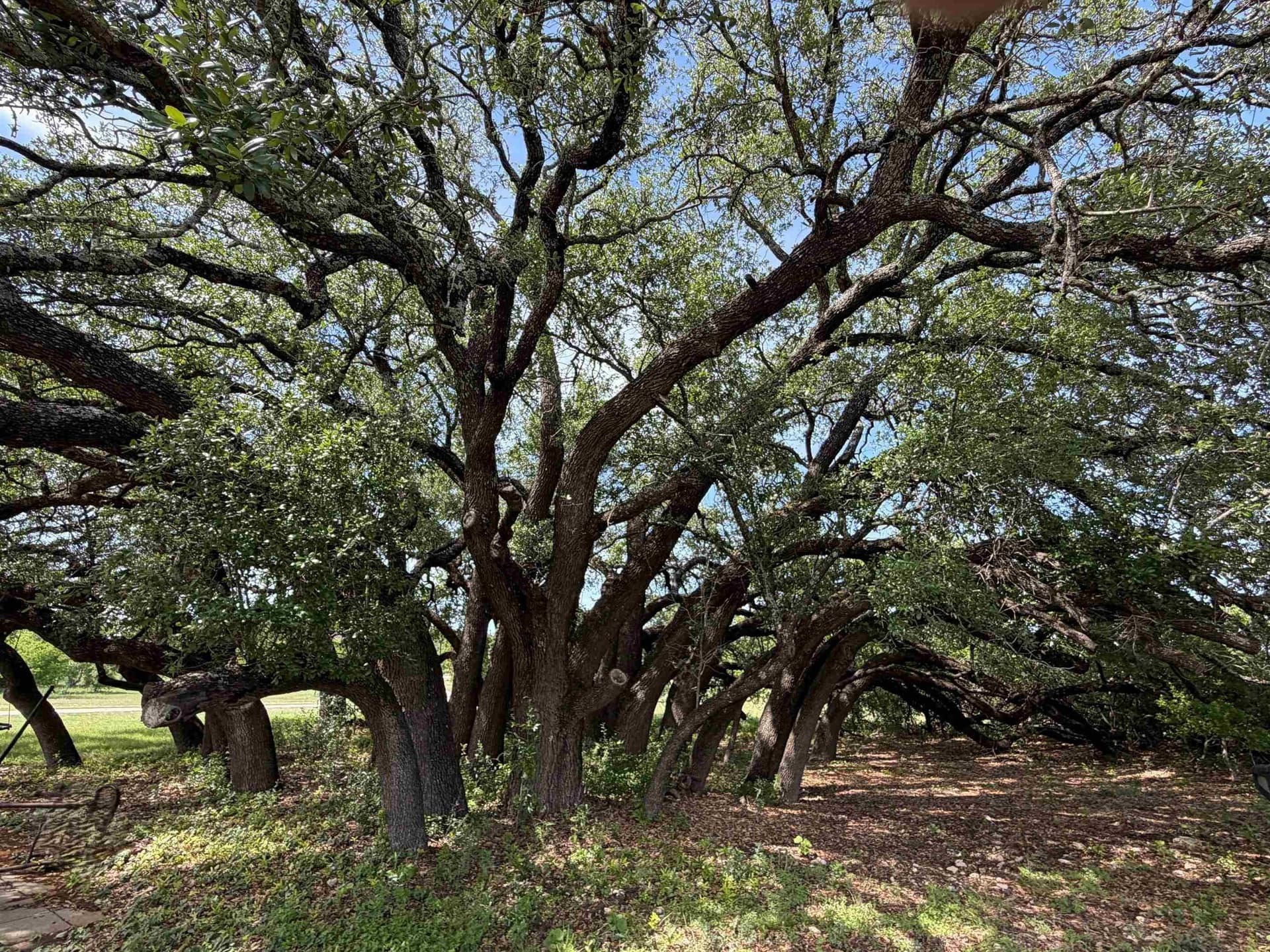 130.44 acres in Lampasas County - photo 27