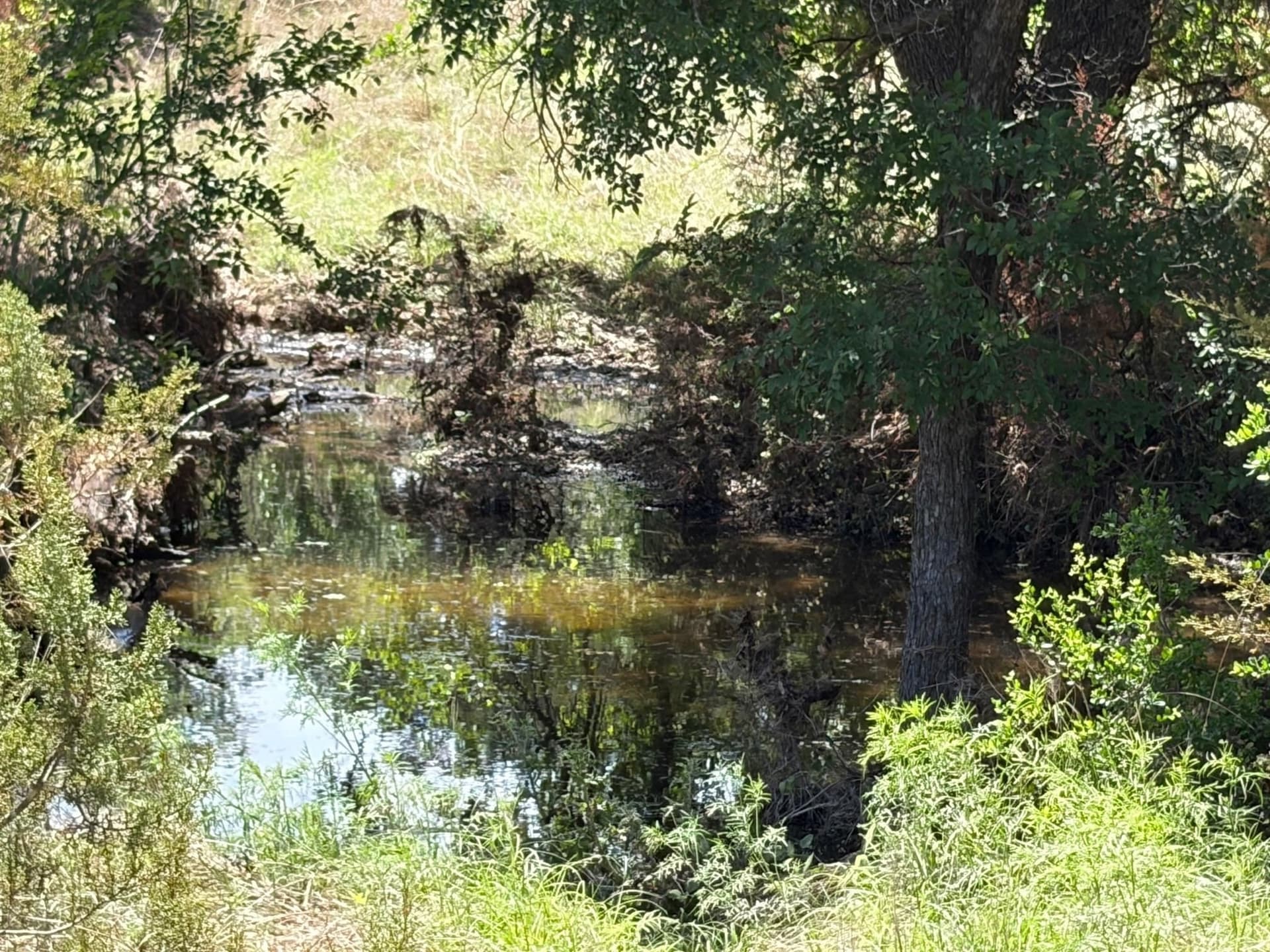 130.44 acres in Lampasas County - photo 34